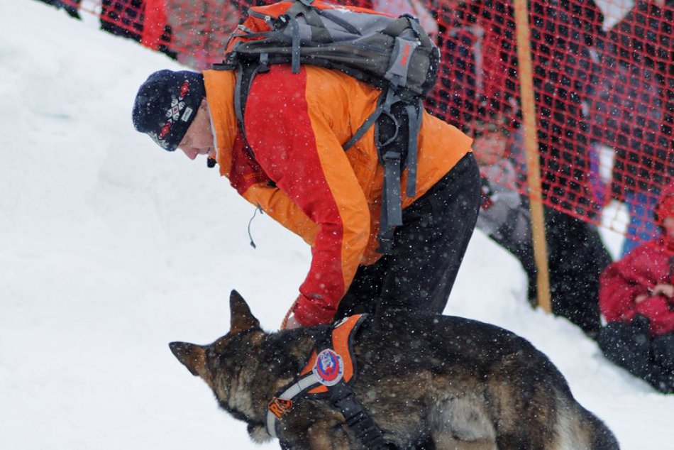 Do Tatranskej Lomnice prišlo cez víkend množstvo ľudí. Deti najviac zaujali živé