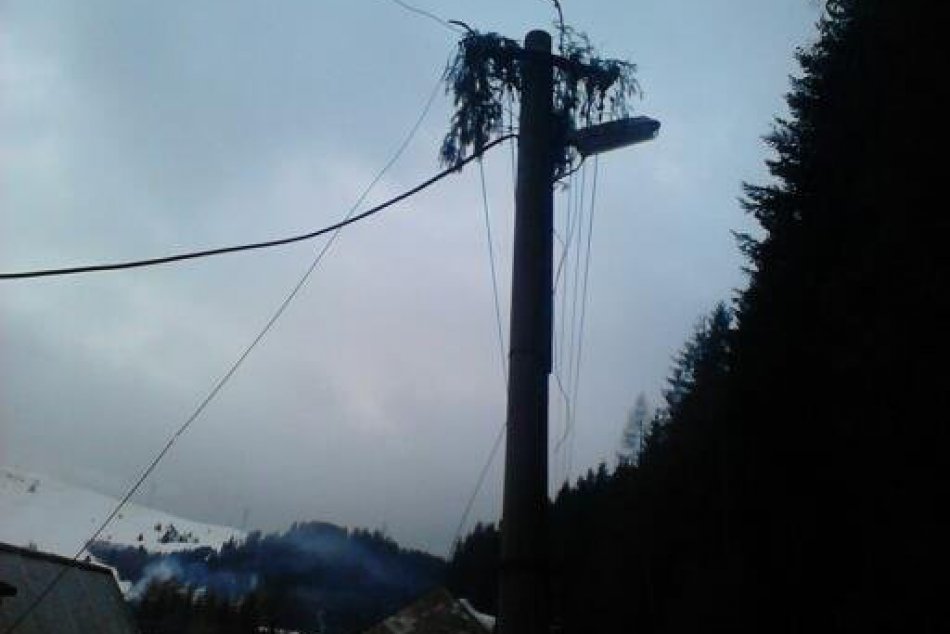 Pád stromu v Palcmanskej Maši