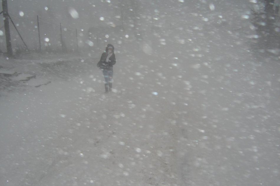 Kalamita v okolí SNV