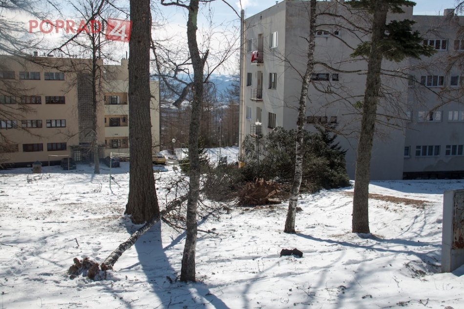 Vyšné Hágy deň po...