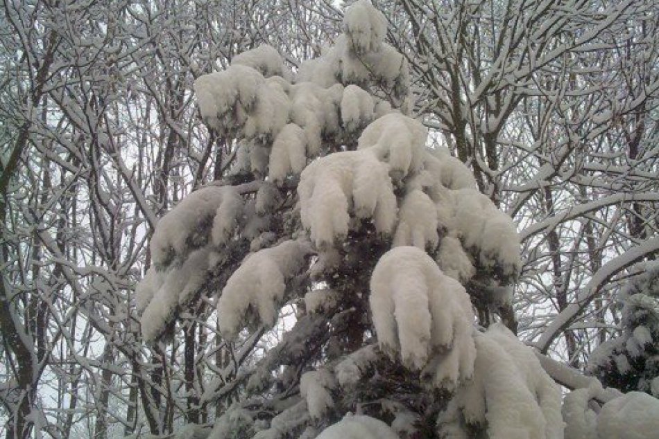 Vitajte v jarnej Bystrici