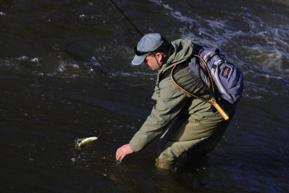 Pod Tatrami sa začala pstruhová sezóna. Ryby sú ale po dlhej zime oslabené