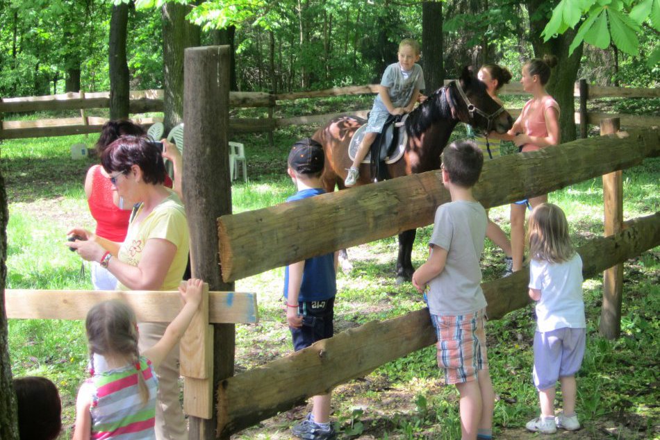 Jazdenie detí na koníkovi Denisa.