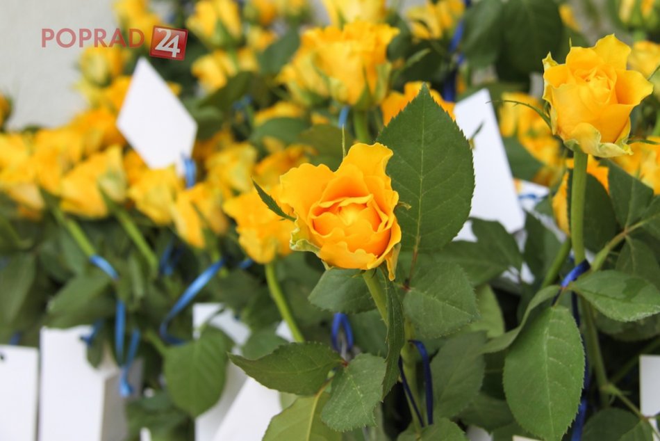 Príjemné prekvapenie pre Popradčanov. Mnohí si domov doniesli žltú ružu