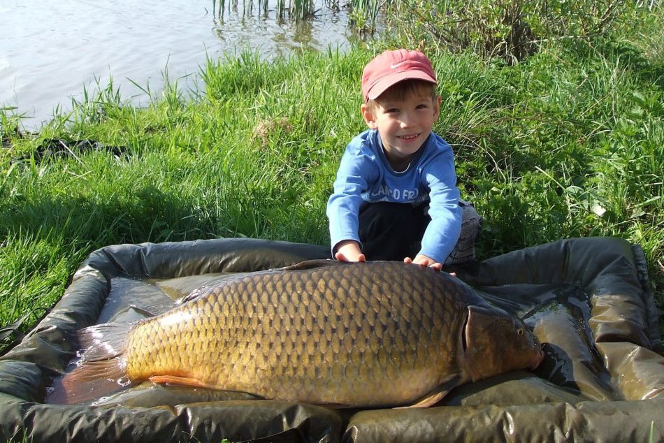 Žakovský kapor 2013