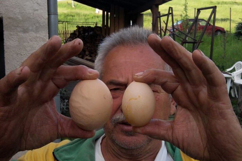 Sliepky pochopili, že bývalý majster sveta potrebuje bielkoviny: Zniesli mu pret