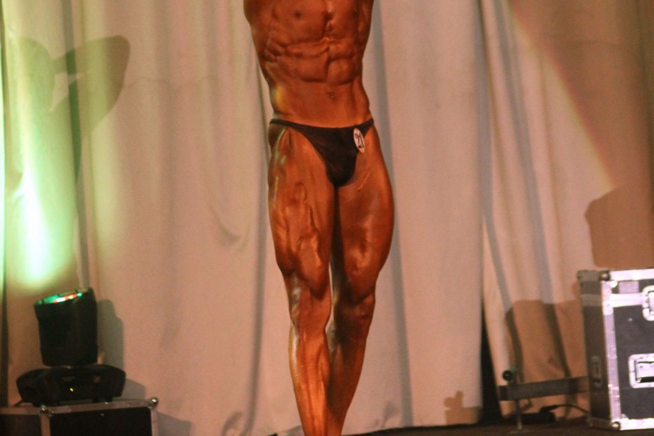 Veľká cena Nitry 2013