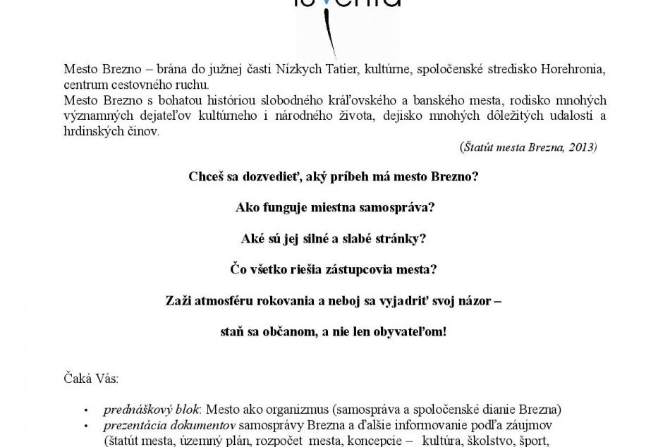 Malá škola demokracie v Brezne, 2013