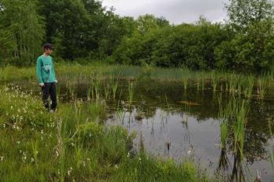 Popradské rašelinisko čistili. Prišli len traja dobrovoľníci