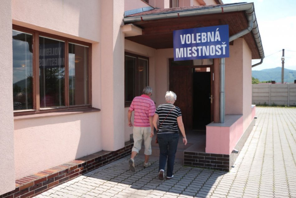 Volby primátora 2013