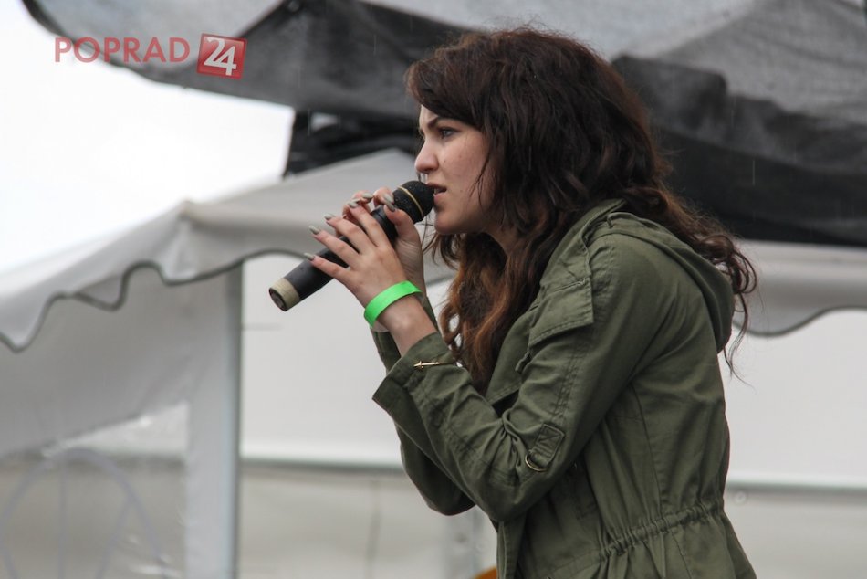 Nestville Open Day 2013