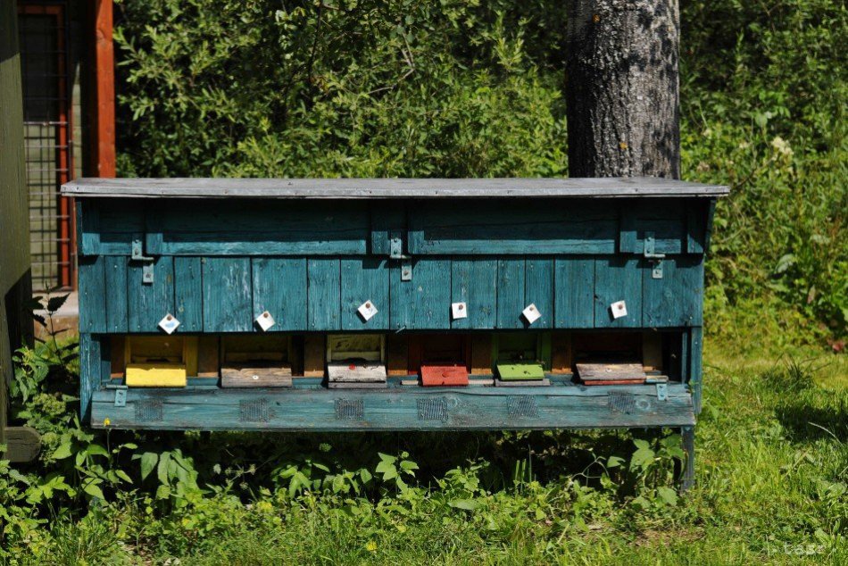 Medu bude tento rok menej. Za kvalitný včelí produkt si tak asi budeme musieť pr