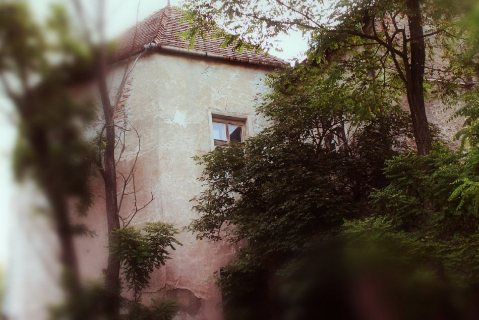 V sobotu na brigáde v Bašte pri Lazovnej bráne