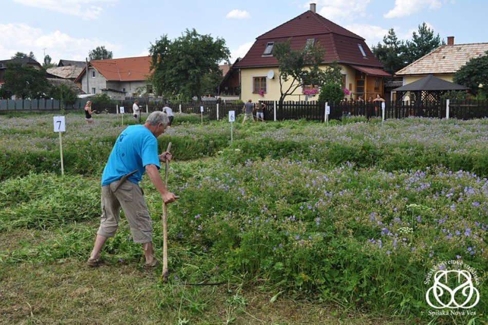 AVITUR 2013- Odorín