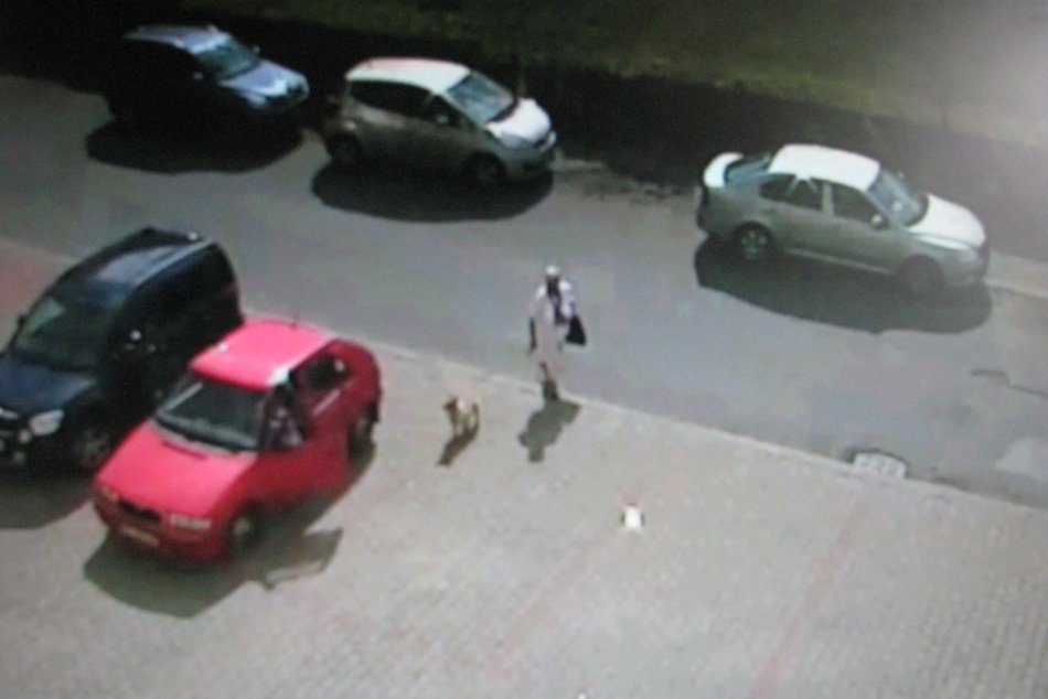 Policajti hľadajú vodičku červenej Felície. Narazila do auta a z miesta nehody o