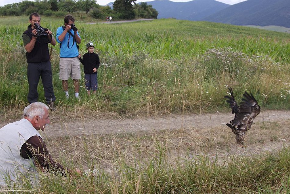 Orol Arnold vysiela prvé údaje. Jeho cesta povedie do Afriky