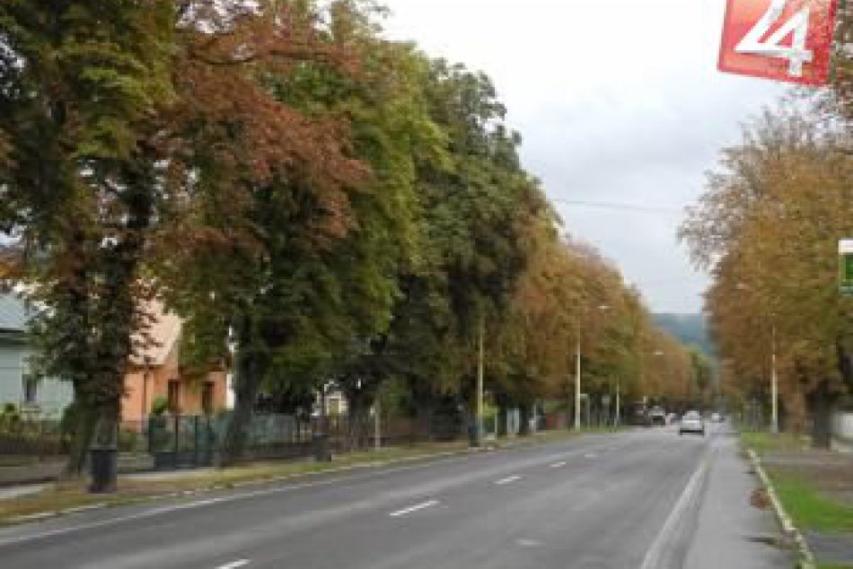 Gaštanová aleja v Strážskom