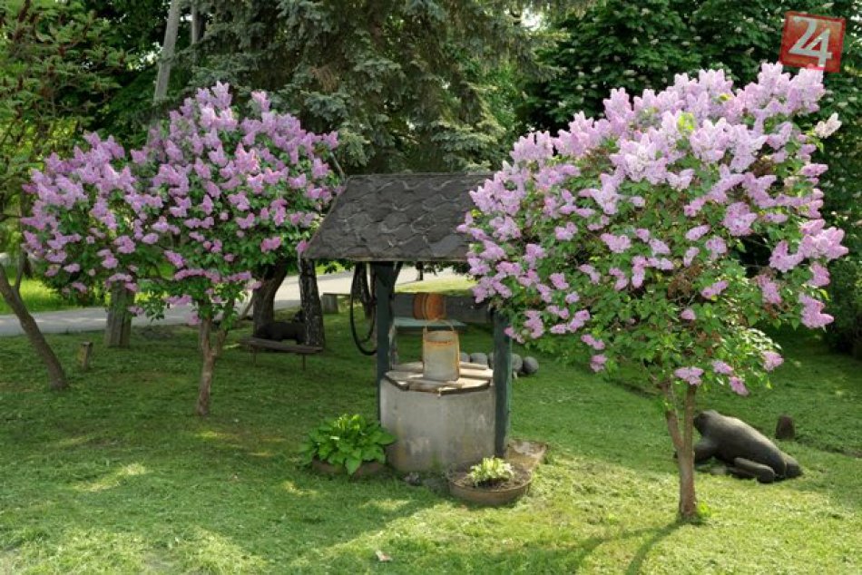 Baďan, dedina ako maľovaná