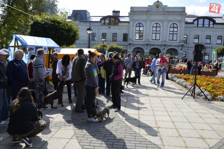 Hubertova jazda 2013