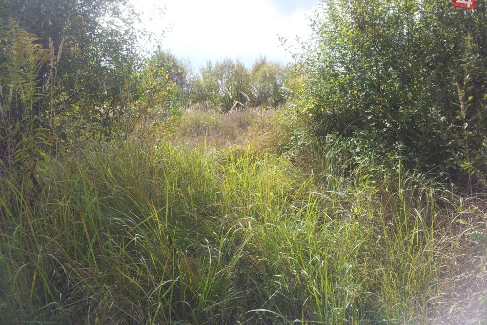 Oddychová zóna na Mazorníkove