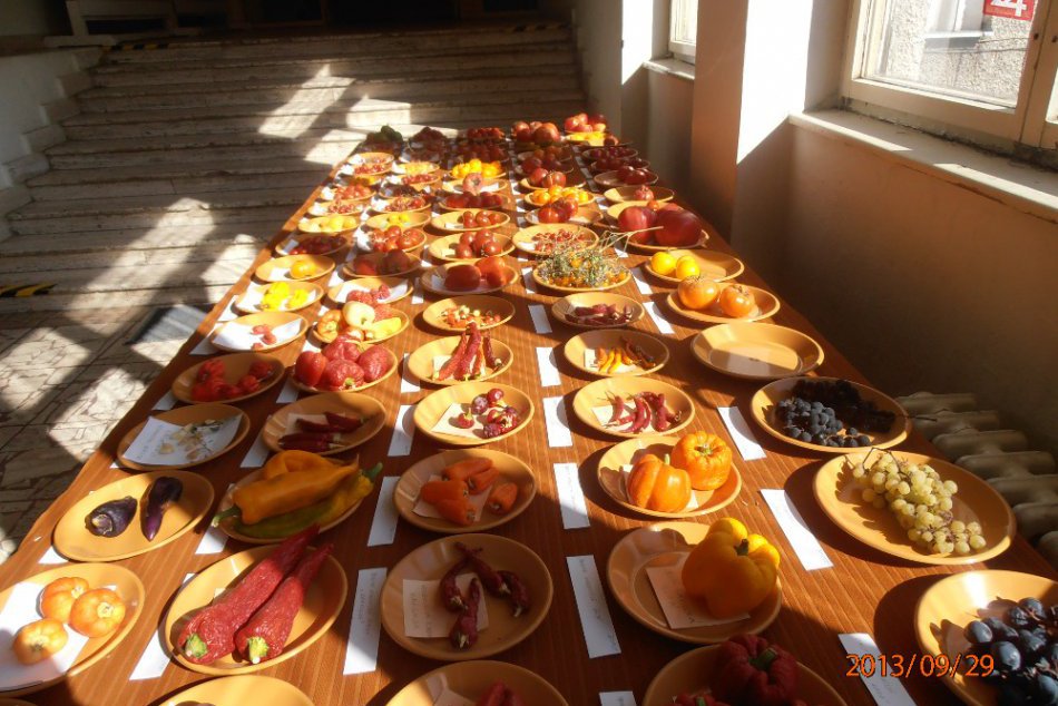 Turisti sa vybrali do botanickej a zoologickej záhrady