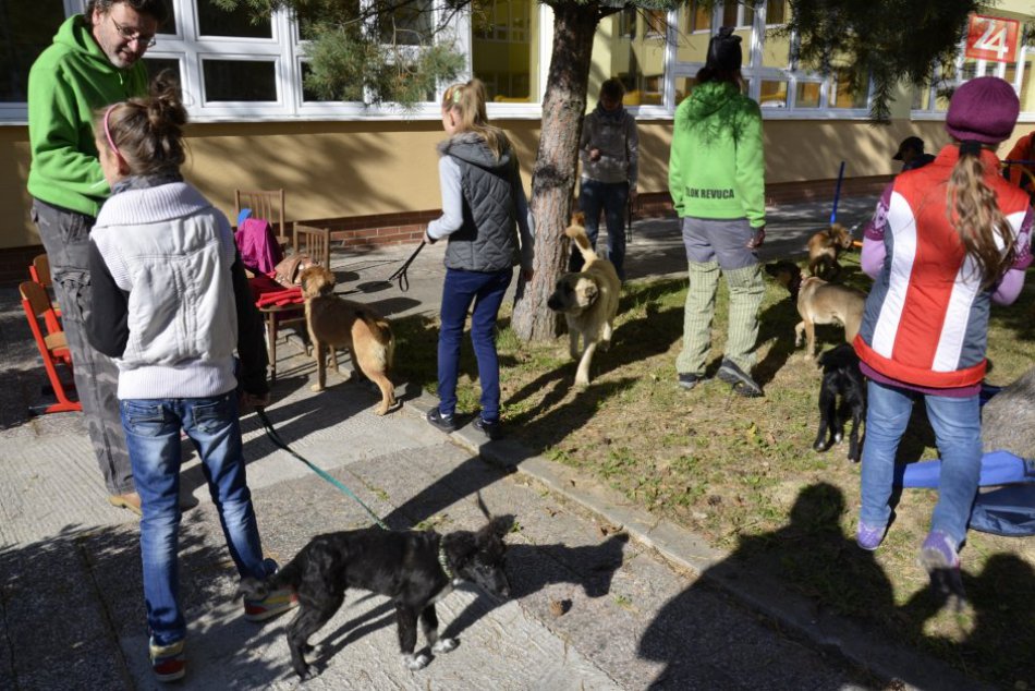 DOD Komenského škola