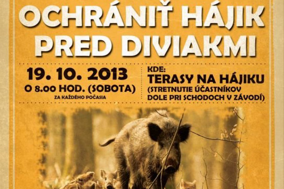 Pomôžte ochrániť Hájik pred diviakmi