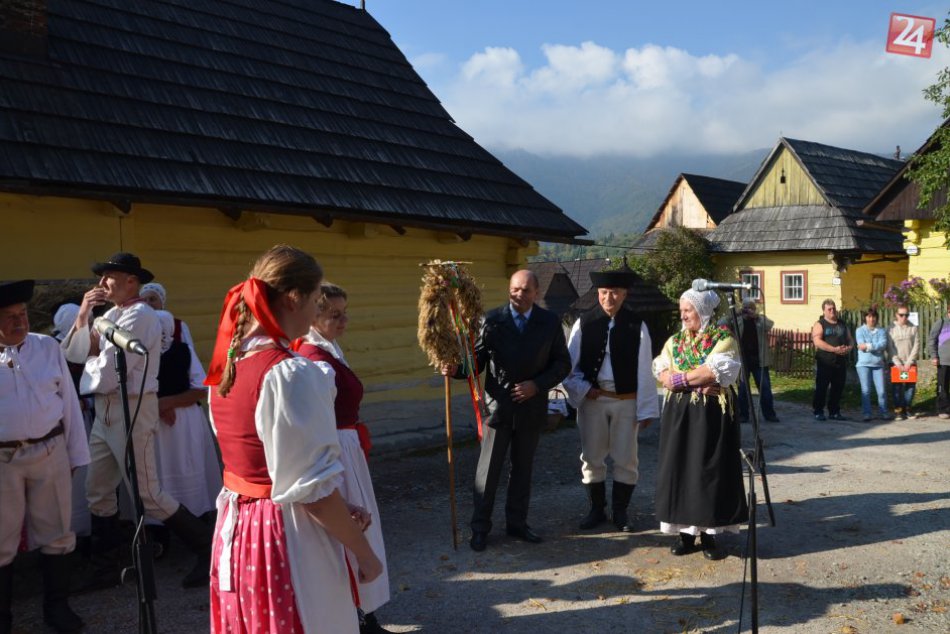 Miroslav Štefček I