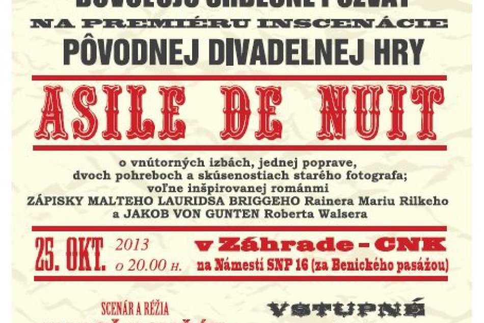 Divadelná hra Maroša Rovňáka **Asile de nuit**