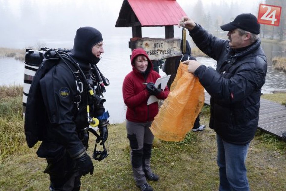 Obrazom: Tatranské plesá sú čistejšie, pomáhal aj Poseidón