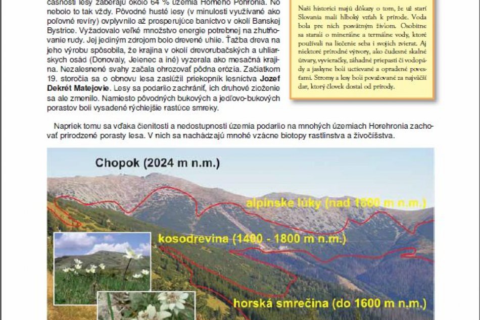 Nová učebnica viceprimátorky Čižmárovej