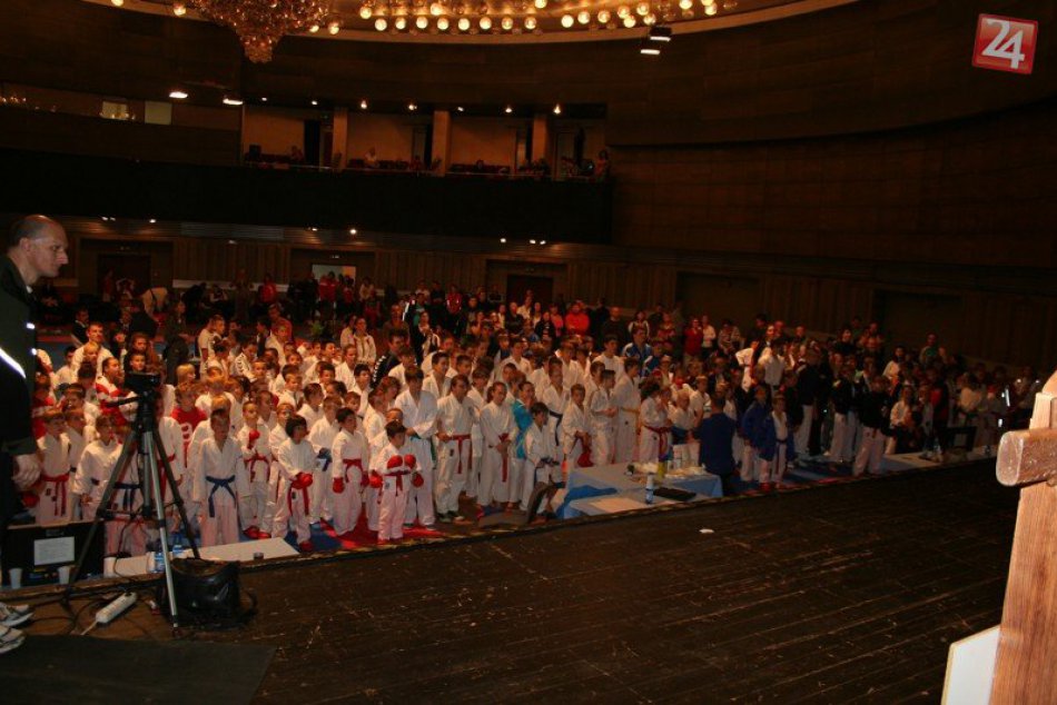 karate - pohar primatora