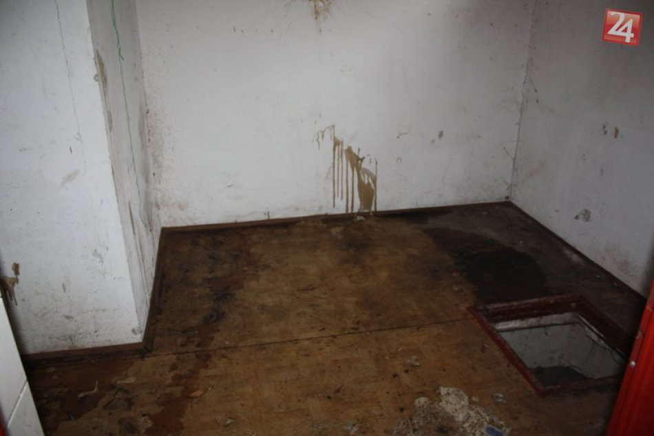 Vyčistenie bývalej ZŠ na Nedbalovej