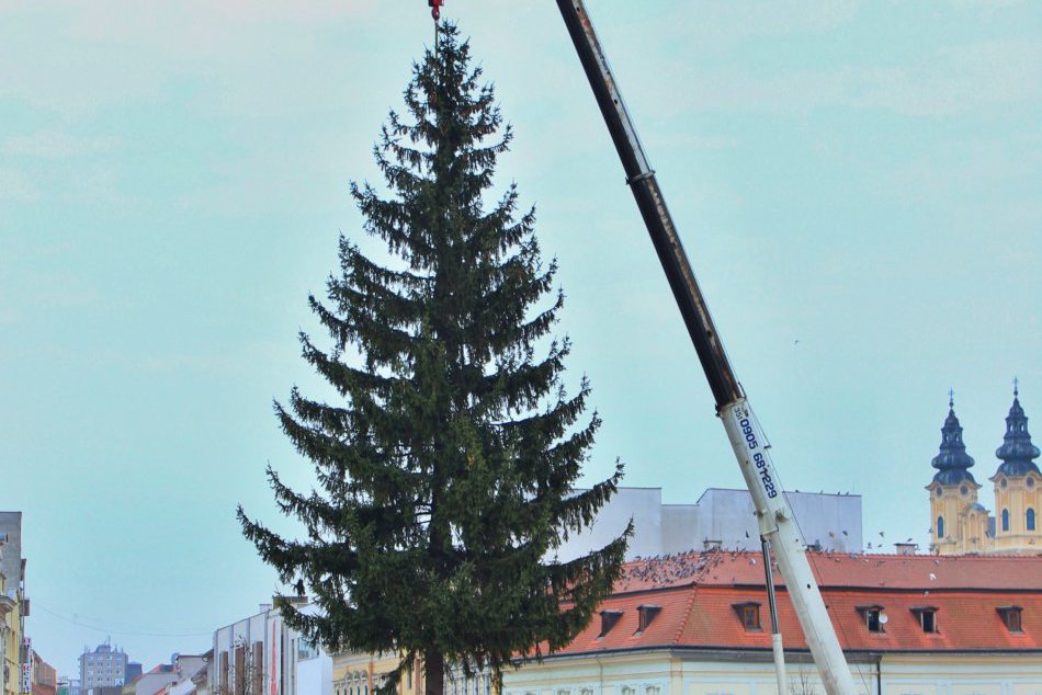 Vianočný stromček