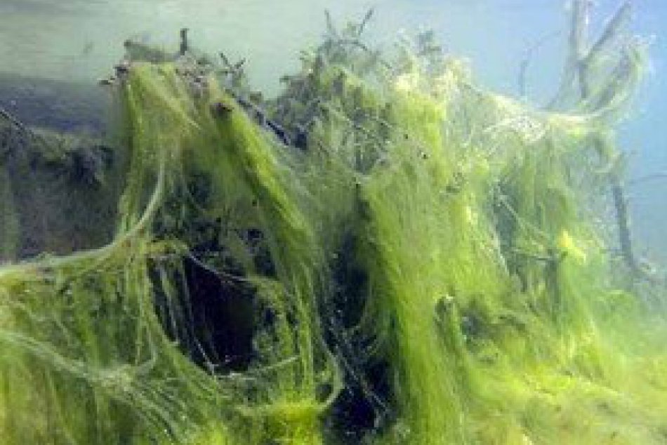 Tatranské plesa, ako ich nepoznáte!