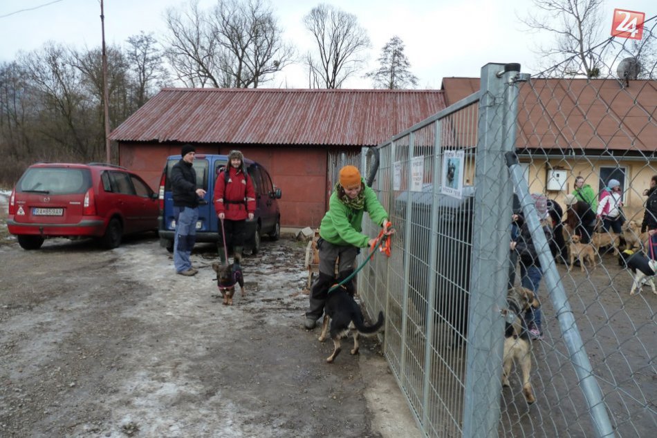 Vianočné venčenie útulkáčov v Revúcej