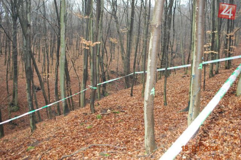 Otrasný nález poľovníka: V lese našiel ľudskú lebku!