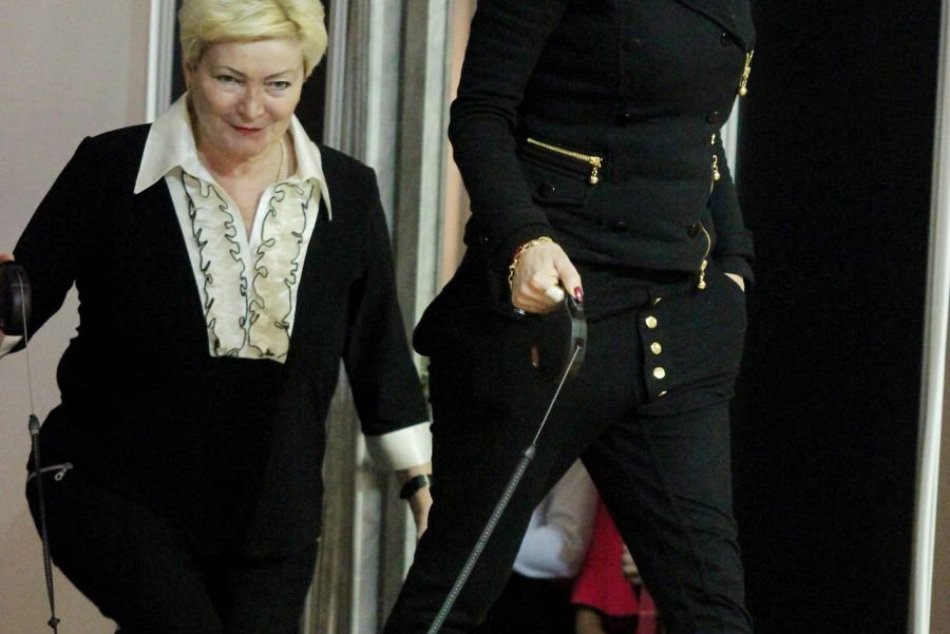 Módna prehliadka psov