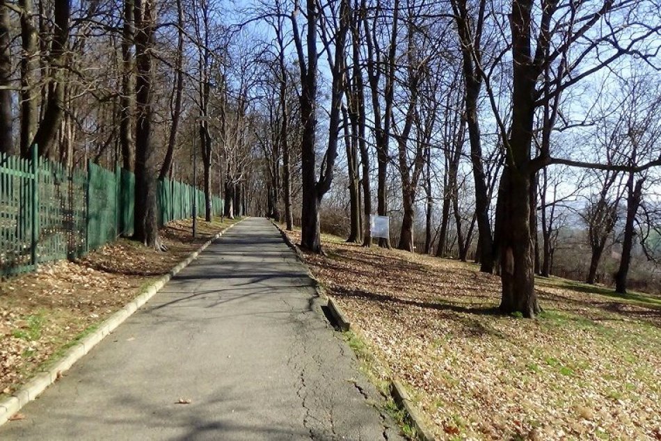 Nový trend umenia v Humennom? V parku natrafíte na záhadné dielo!