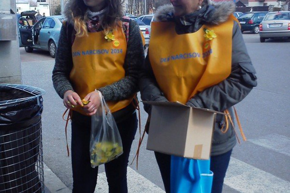 Deň narcisov 2014