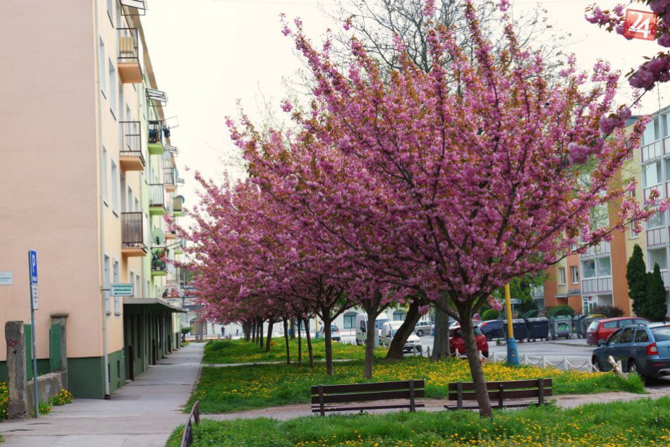OBRÁZKY, ktoré musia chytiť každého Košičana za srdce