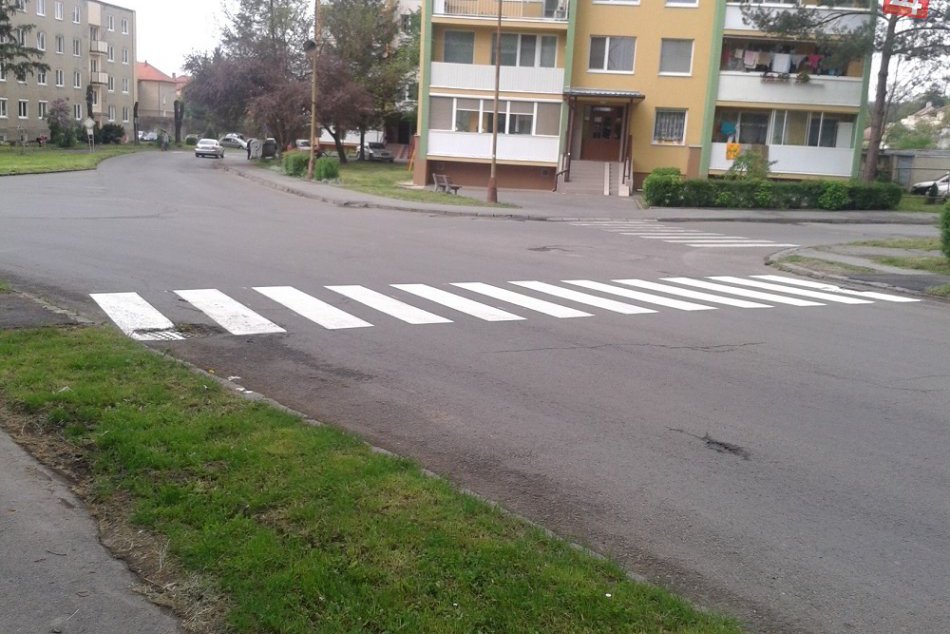 V Humennom pribudla nová zebra