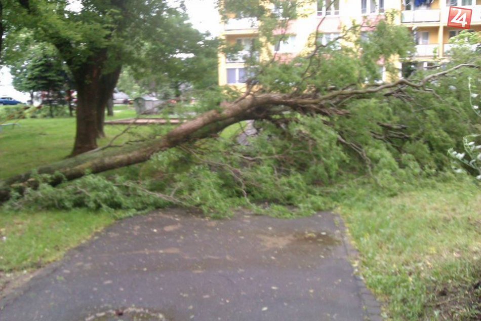 Popadané stromy v Prešove: Takto to miestami vyzerá!