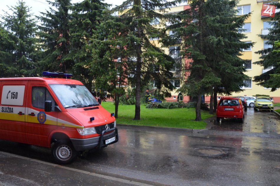 Živly vystrájali: Na Poľnej privalil strom parkujúce Polo