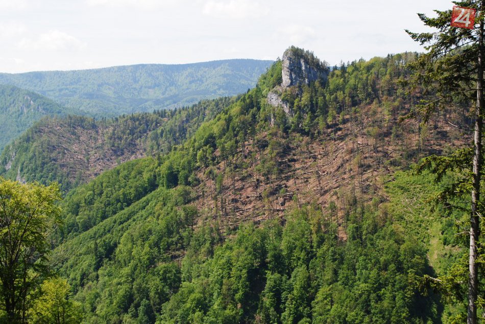 Veterná kalamita v okolí Banskej Bystrice - Primátor Peter Gogola na inšpekcii
