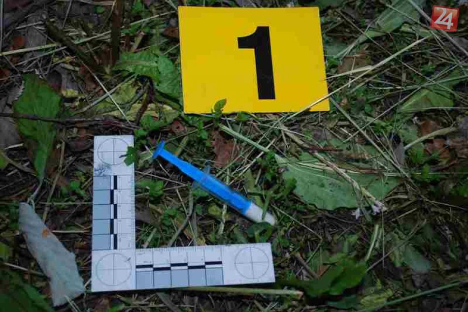 Zadržanie drogových dílerov