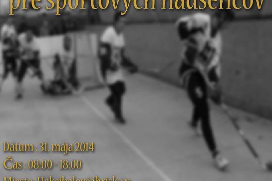 Plagát pre Hokejbalový turnaj Zlaté Moravce