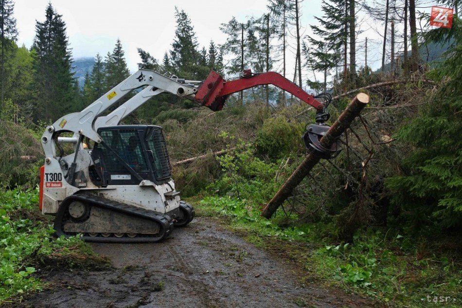 Práce na odstraňovaní kalamitného dreva vo Vysokých Tatrách