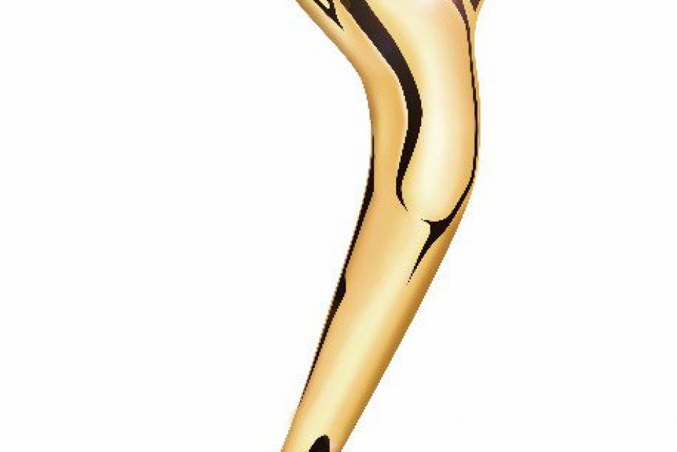 Pomôžte nájsť Dobrého podnikateľa