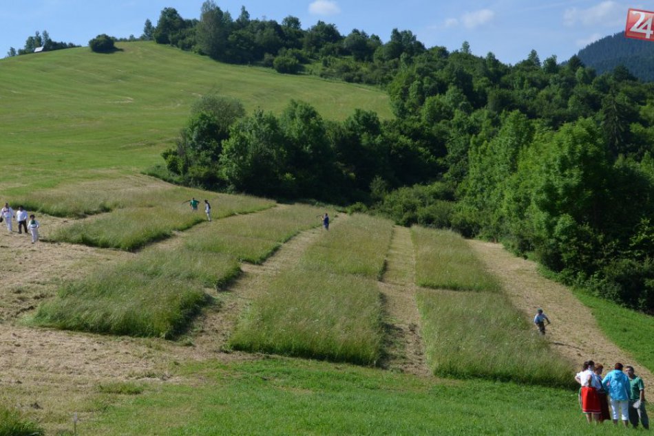 Vlkolínske lúky 2014